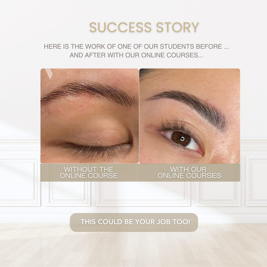 brow-lamination-hybrid-dye-mapping-course