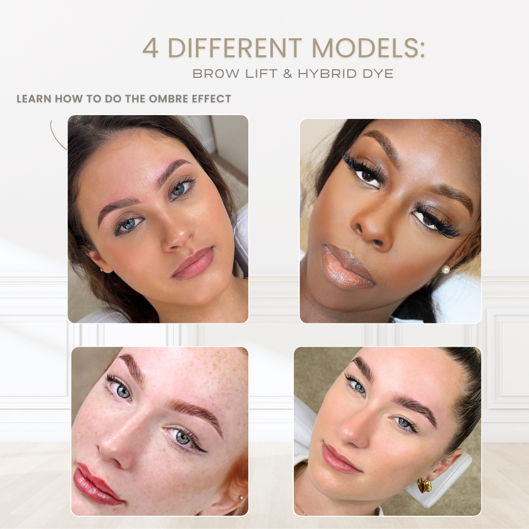 brow-lamination-hybrid-mapping-course