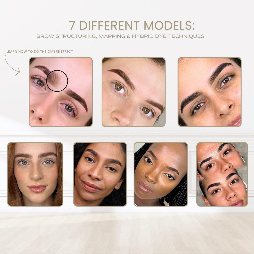 MASTERCLASS 1 : BROW SCULPT + HYBRIDE DYE - Brow Renaissance