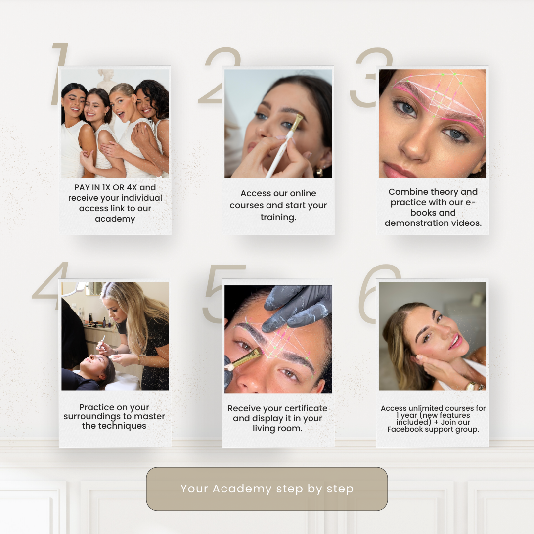 MASTERCLASS 1 : BROW SCULPT + HYBRIDE DYE - Brow Renaissance