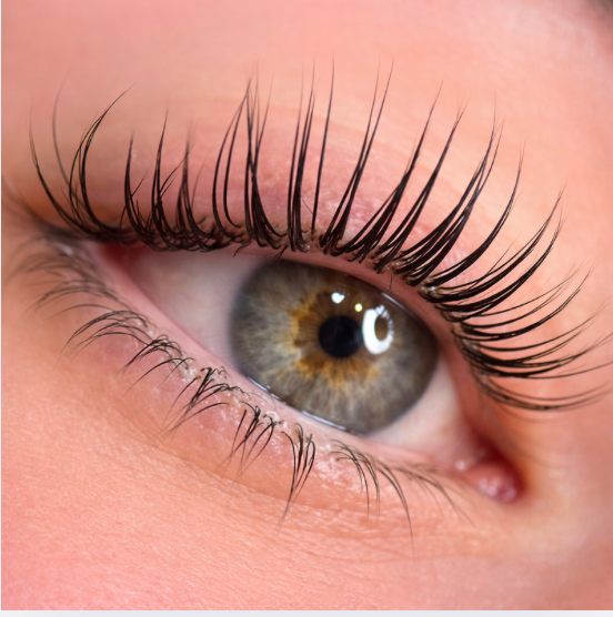 Lash Lift Coréen ou Rehaussement Classique : Quelle Différence ?