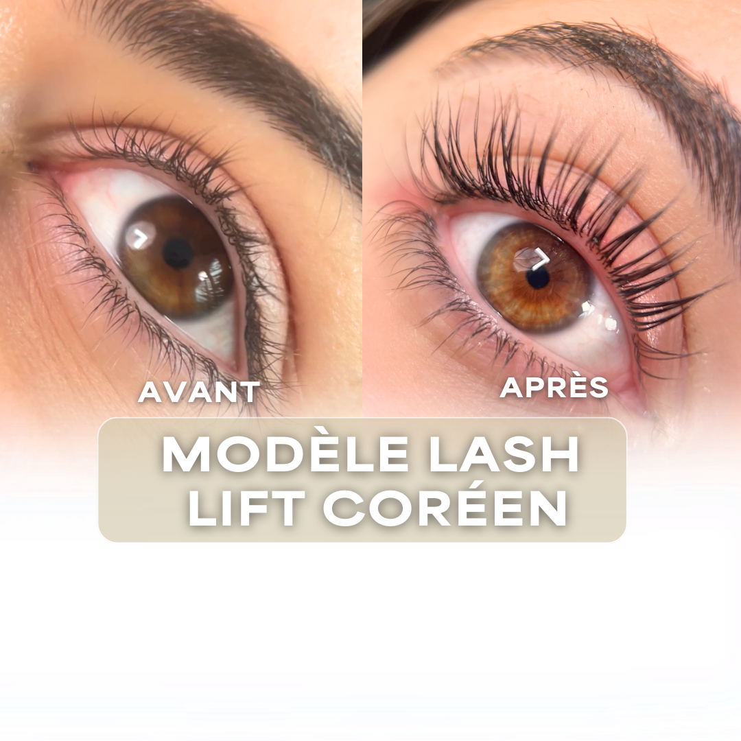 formation-korean-lash-lift