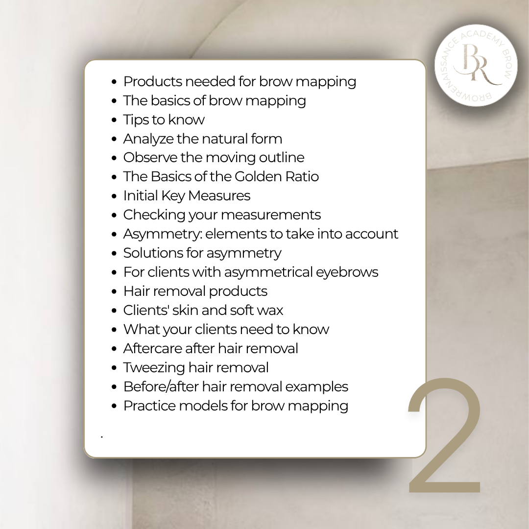 brow-mapping-course