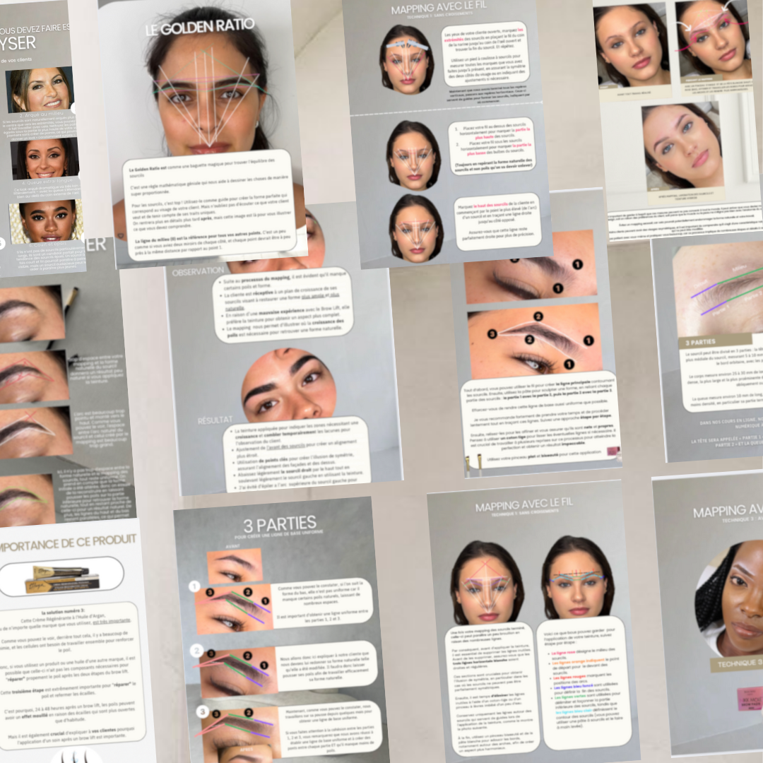 brow-mapping-course