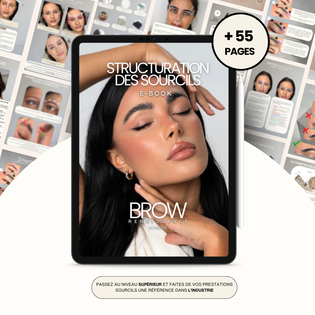 Ebook Structuration des Sourcils et Mapping - en Français
